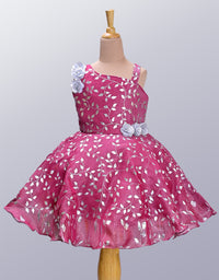 Little Girl's Premium Party Wear Frock
