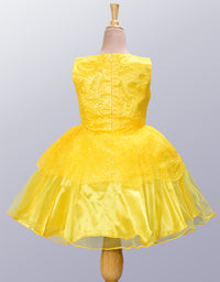 Little Girl's Premium Party Wear Frock
