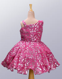 Little Girl's Premium Party Wear Frock
