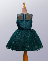 Little Girl's Premium Party Wear Frock
