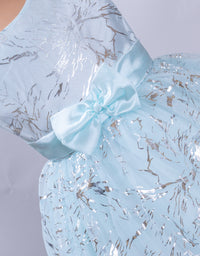 Little Girl's Premium Party Wear Frock
