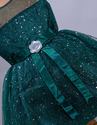 Little Girl's Premium Party Wear Frock
