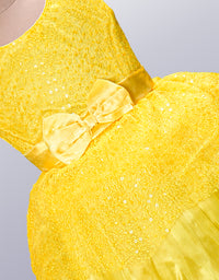 Little Girl's Premium Party Wear Frock
