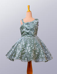 Little Girl's Premium Party Wear Frock
